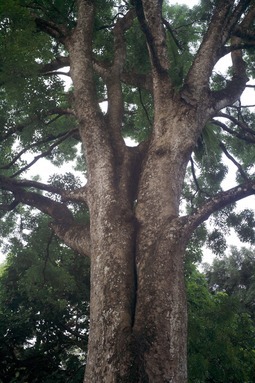 Uber Exif Photo