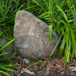 Uber Exif Photo