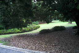 Uber Exif Photo