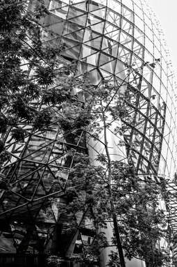 Uber Exif Photo