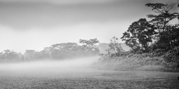 Uber Exif Photo