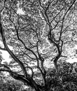 Uber Exif Photo