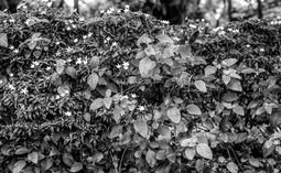 Uber Exif Photo