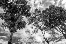 Uber Exif Photo