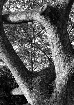 Uber Exif Photo