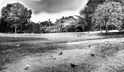 Uber Exif Photo