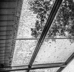 Uber Exif Photo