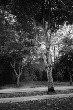 Uber Exif Photo