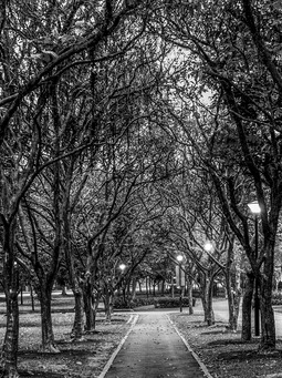 Uber Exif Photo