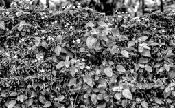 Uber Exif Photo