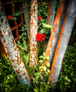 Uber Exif Photo