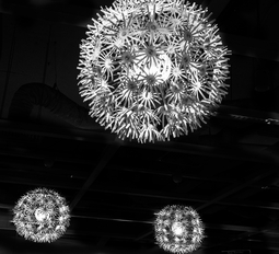 Uber Exif Photo