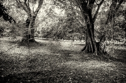 Uber Exif Photo