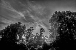 Uber Exif Photo