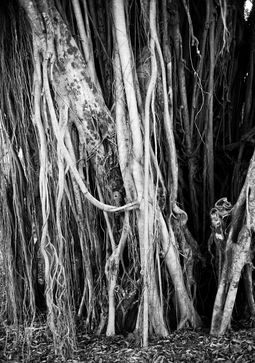 Uber Exif Photo