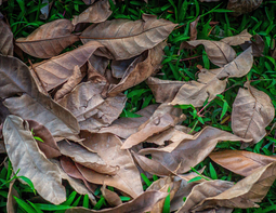 Uber Exif Photo