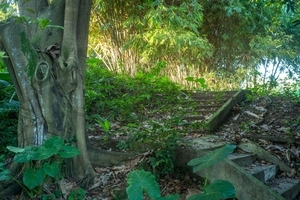 Uber Exif Photo