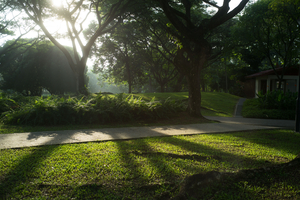 Uber Exif Photo