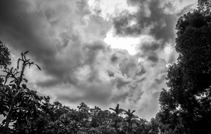 Uber Exif Photo