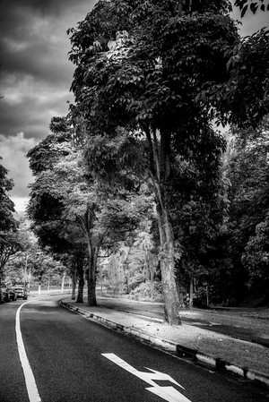 Uber Exif Photo