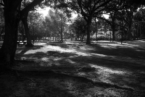 Uber Exif Photo