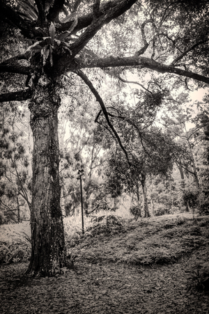 Uber Exif Photo