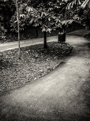 Uber Exif Photo