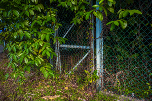 Uber Exif Photo