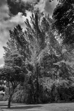 Uber Exif Photo