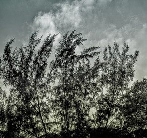 Uber Exif Photo