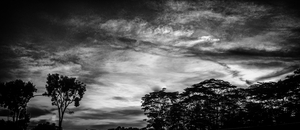 Uber Exif Photo