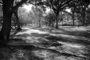 Uber Exif Photo