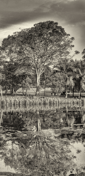 Uber Exif Photo