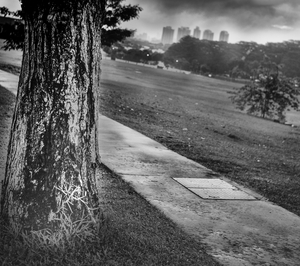 Uber Exif Photo