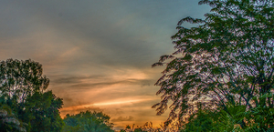 Uber Exif Photo