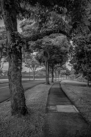 Uber Exif Photo