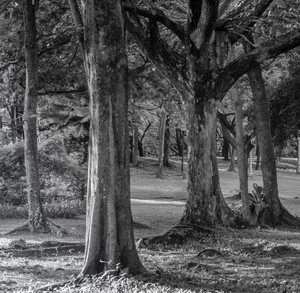 Uber Exif Photo