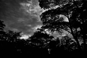 Uber Exif Photo