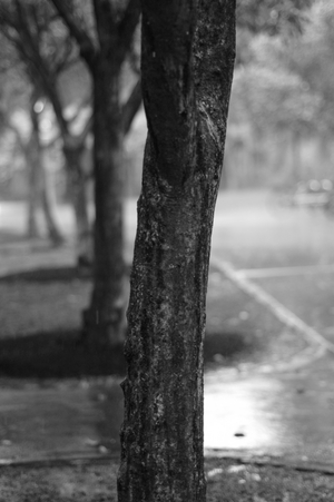 Uber Exif Photo