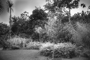 Uber Exif Photo