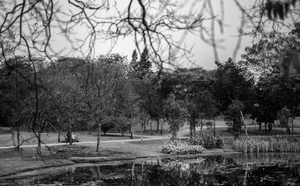 Uber Exif Photo