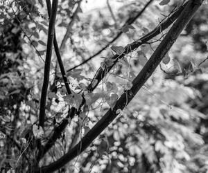 Uber Exif Photo
