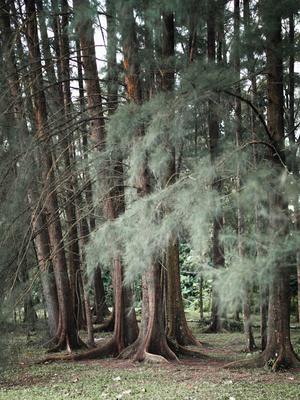 Uber Exif Photo