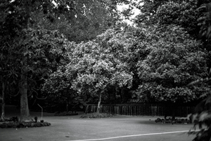 Uber Exif Photo