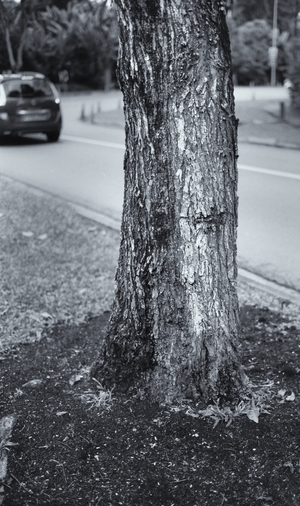 Uber Exif Photo