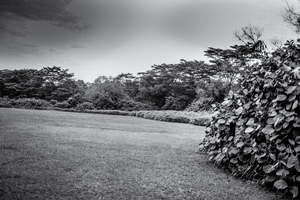 Uber Exif Photo