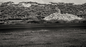 Uber Exif Photo