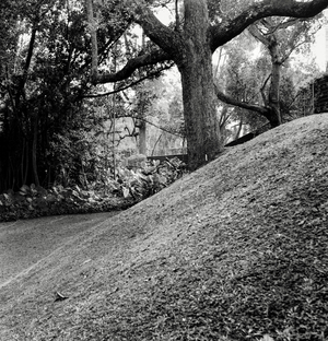 Uber Exif Photo