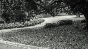 Uber Exif Photo