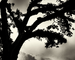 Uber Exif Photo